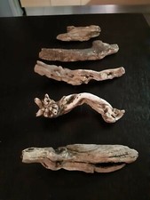 Legni di mare- creare con arte