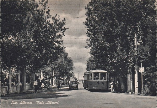Venezia lido alberoni viale - venezia,