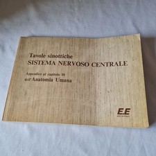 (A.a V.v) Tavole sinottiche