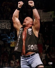 Stone Cold Steve Austin foto