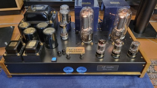 845 vacuum tubes pair electron - 845,