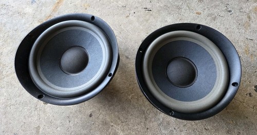 Coppia woofer altoparlanti - coppia,