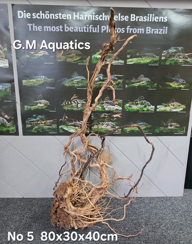 Azalea acquario in legno - azalea, n.