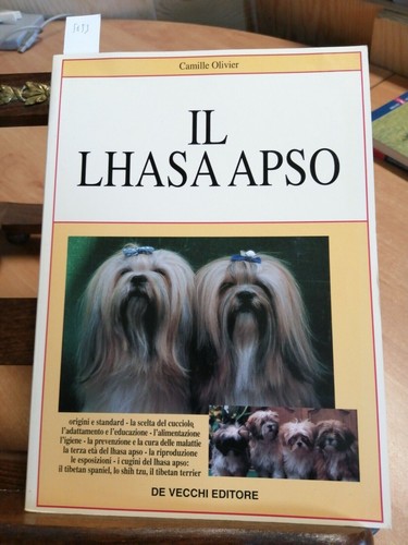 Lhasa apso camille - lhasa,