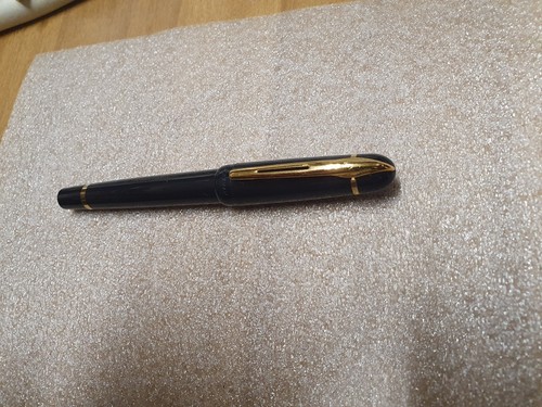 Penna stilografica waterman - stilografica,