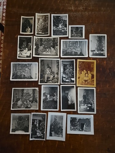 Foto albero natale - albero,
