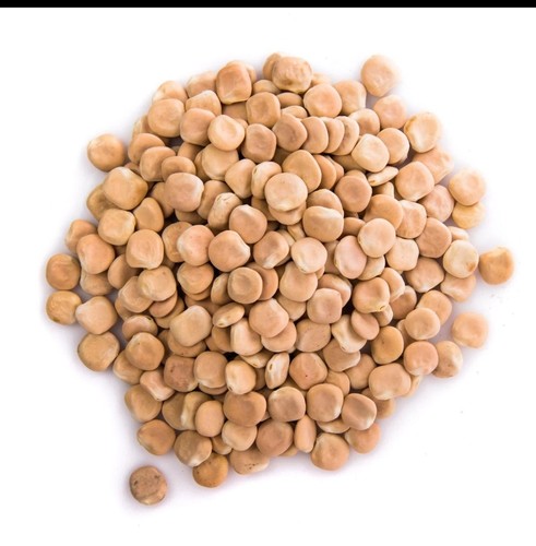 Lupini secchi 13 15 mm - 3,