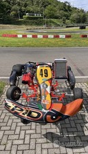 go-kart In Perfette Condizioni.