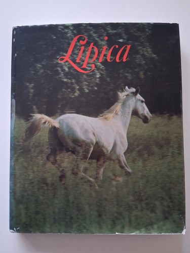 Lipica 1980 breeding - 1980,