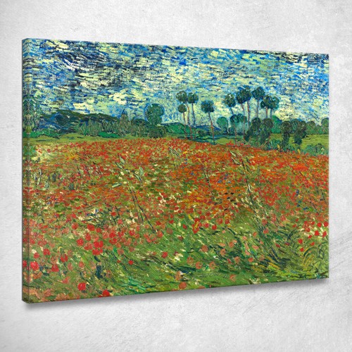 Campo papaveri vincent van - campo,