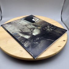 Polaroid International