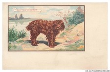 CAR-AGAP15-0802-PUBLICITA -