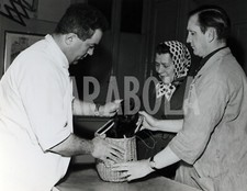 Foto Vintage Animali Gatto Europeo in Visita dal Veterinario stampa 27x22 cm