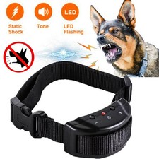 Collare di addestramento per