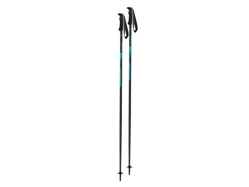 Fizan bastoncini sci storm - bastoncini,