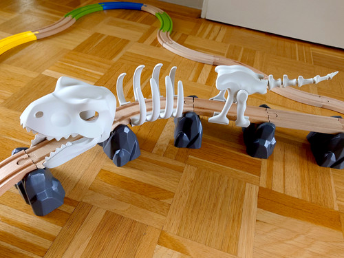 Scheletro rex dinosauro per - t-rex,