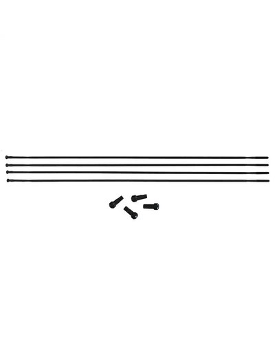 Fulcrum 016c raggio - fulcrum,