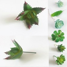 Piante succulente finte