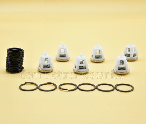 Kit valvole o ring per - o-ring,