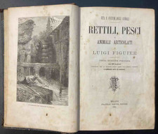 Figuier L. Rettili, pesci e anumali articolati. Milano. Treves. 1881.