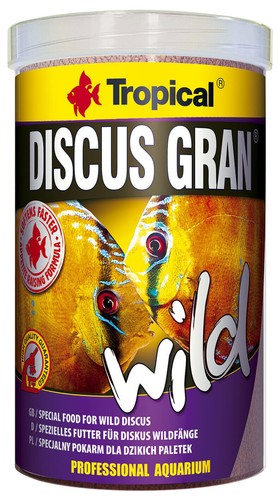 1000 tropical wild discus - 1000,