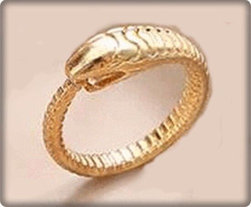 Anello serpente cerchio - anello,