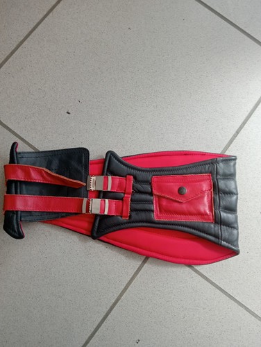 Fascia lombare reni pelle