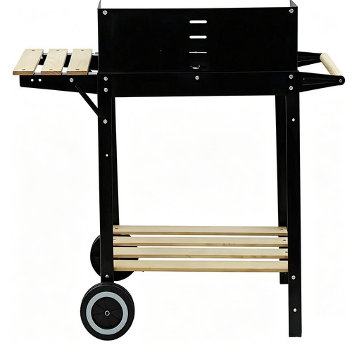 Recportable barbecue carbone - recportable, a
