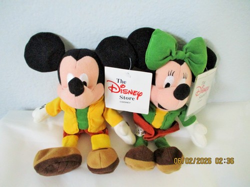 Disney store evergreen - disney,