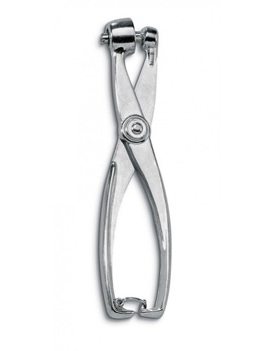 Snocciolatore snocciola olive - snocciola,