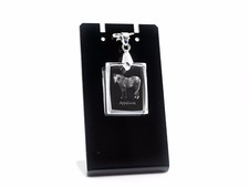 Appaloosa, Collana Con