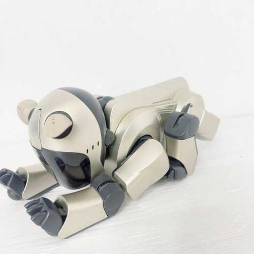 Spazzatura sony aibo - spazzatura!!,