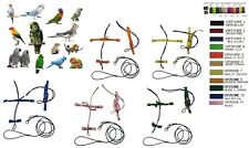 Pettorina pappagalli da