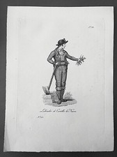 Labrador Recutita Nueva