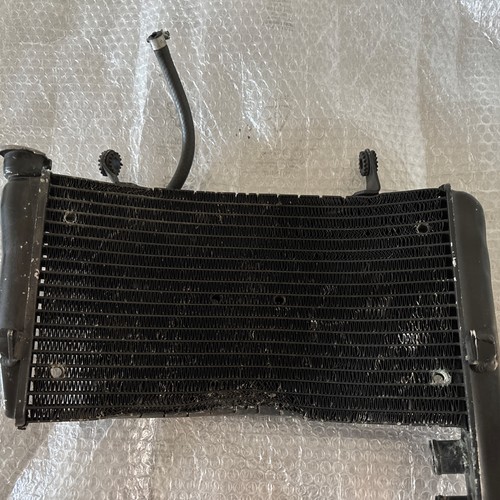 Radiatore ducati 999 749 oem - radiatore,
