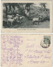 LA VITA NEI BOSCHI - GREGGE - PECORE - PASCOLO - PROF. BRUZZI - VIAGG. -44641-