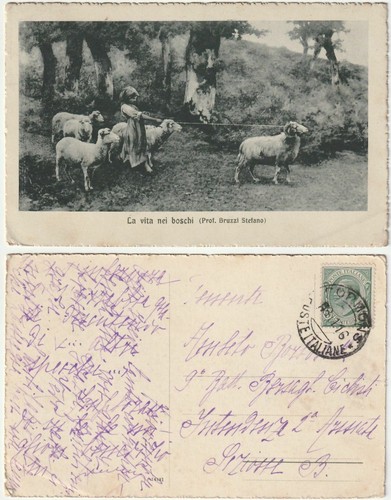 Vita nei boschi - la,