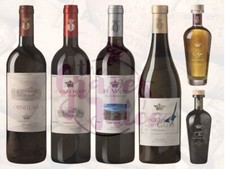 ORNELLAIA BOX 6BT VINO LE SERRE NUOVE, LE VOLTE, POGGIO ALLE GAZZE, GRAPPA, OLIO
