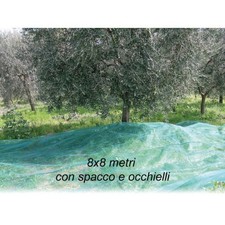 Rete per Raccolta Olive 8x8 mt