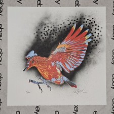 Poster Ian Millard Colorflight