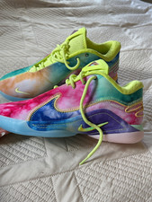 Scarpe Nike LeBron 22 Monopoly