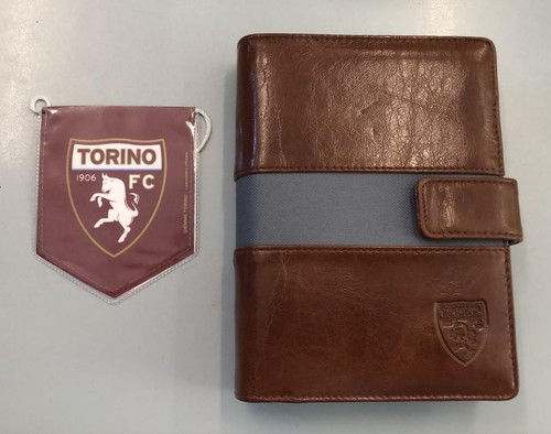 4205 torino organaizer - fc,