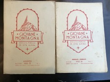Young Mountain Monthly Alpine