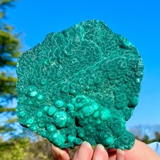 262G VELLUTO naturale