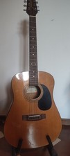 Chitarra acustica Jasmine