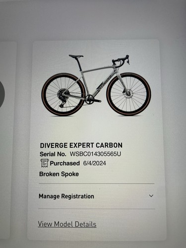 Specialized diverge expert - specialized,