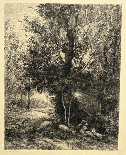 Berger bergere gravure eau - berger,