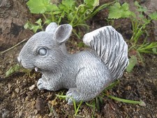 Stampo scoiattolo lattice