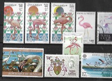 kl.lotto fenicotteri(3)