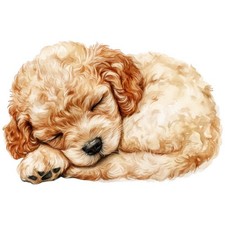 2 adesivi barboncino nano